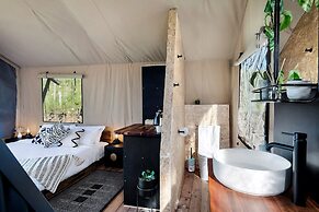 Cicada Luxury Camping