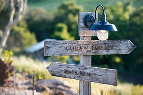 Cicada Luxury Camping