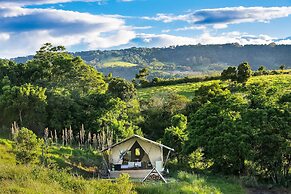 Cicada Luxury Camping