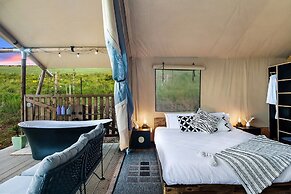 Cicada Luxury Camping