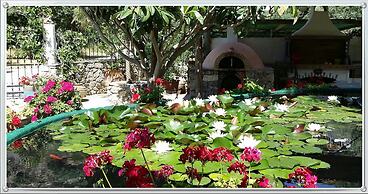 Excusive 1 Bedroom Cottage in Paleochora