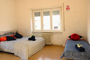 Mikasa Balduina Roma