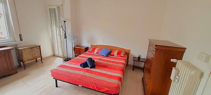 Mikasa Balduina Roma