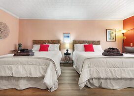 Sequoia Park CA Coast Wineries Skiing-All Day Trips from Comfy Apt