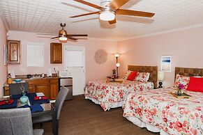 Sequoia Park CA Coast Wineries Skiing-All Day Trips from Comfy Apt