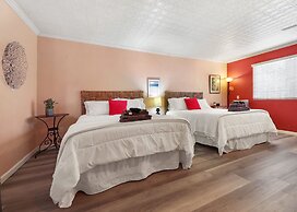 Sequoia Park CA Coast Wineries Skiing-All Day Trips from Comfy Apt