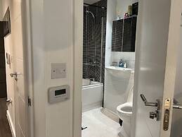 Inviting 1-bed Apartment in London