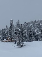 Gulmarg Ski Hill Resort