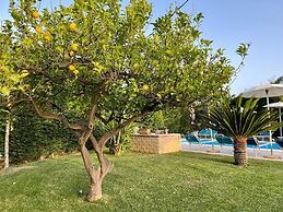 Room in B&B - Relais Dea Degli Ulivi House