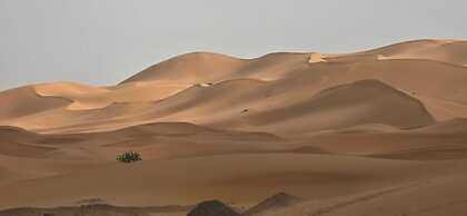 YAKOUT MERZOUGA LUXURY CAMP