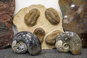 YAKOUT MERZOUGA LUXURY CAMP