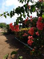 Cabaña De Descanso, Isla De Barú - Cartagena - Rest Cabin, Baru Island