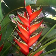 Tiwani Sunset, a Little Piece of Eden