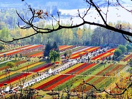 Kashmir Holiday Resort