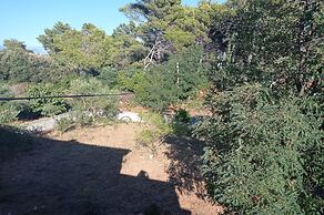 Family Apartment Nelly