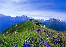 Apartment in the Stubai Valley With a Balcony