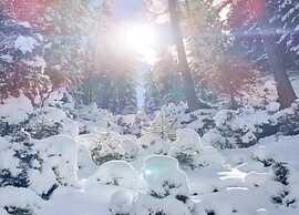 Apartment in the Stubai Valley With a Balcony