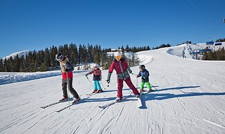 Beautiful Apartment in Viehhofen With hot tub