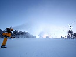 Spacious Holiday Home Near Willingen