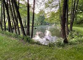 Spacious Holiday Home Near Willingen