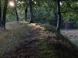 Spacious Holiday Home Near Willingen