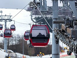 Spacious Holiday Home Near Willingen