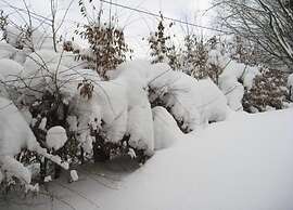 Spacious Holiday Home Near Willingen