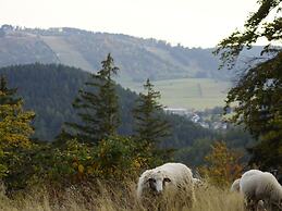 Spacious Holiday Home Near Willingen