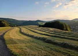 Spacious Holiday Home Near Willingen