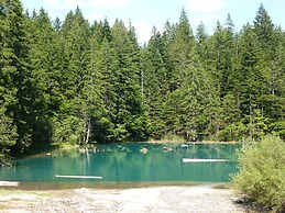 Apartment Near the Gondelbahn With Shared Pool