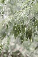 Bh78 Vip Penthouses Immersive Magic Experience