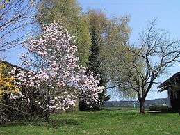 Holiday Home in Ludmannsdorf Near Worthersee
