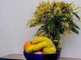 Budget Old Town - One-bedroom Apartment - Ispod Mira 3 Street