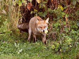 Peaceful Holiday Home in Lemele