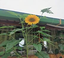 LaSerene The Cottage