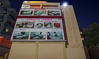 Treebo Empire Executive Premium, Hinjewadi