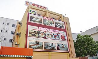 Treebo Empire Executive Premium, Hinjewadi