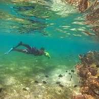 Coraline Coast Beach Resort & Resto-Bar