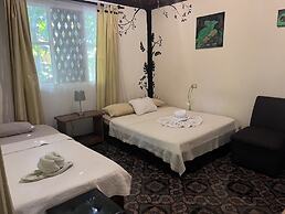 Chilamate Rainforest Eco-retreat