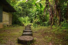 Chilamate Rainforest Eco-retreat