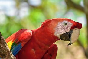 Chilamate Rainforest Eco-retreat