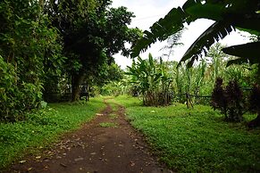 Chilamate Rainforest Eco-retreat
