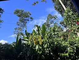 Chilamate Rainforest Eco-retreat