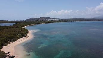 Tropical Breeze Escapes Couples Studio