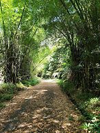 Tropical Breeze Escapes Couples Studio