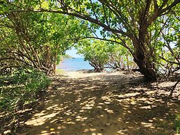 Tropical Breeze Escapes Couples Studio