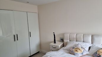 Beautiful and Modern Apartment in North London