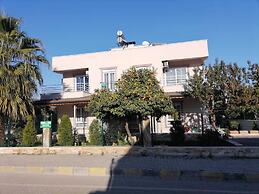 Orange and Lemon Homes