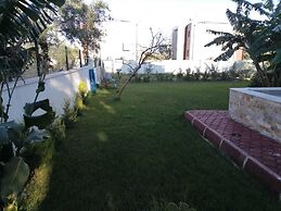 Orange and Lemon Homes