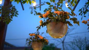 Mango Bloom River Resort